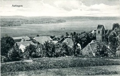 <p>Karte Top Zustand ungelaufen , Rarit&auml;t</p>
<p>kann organisert werden Lagerbestand</p>