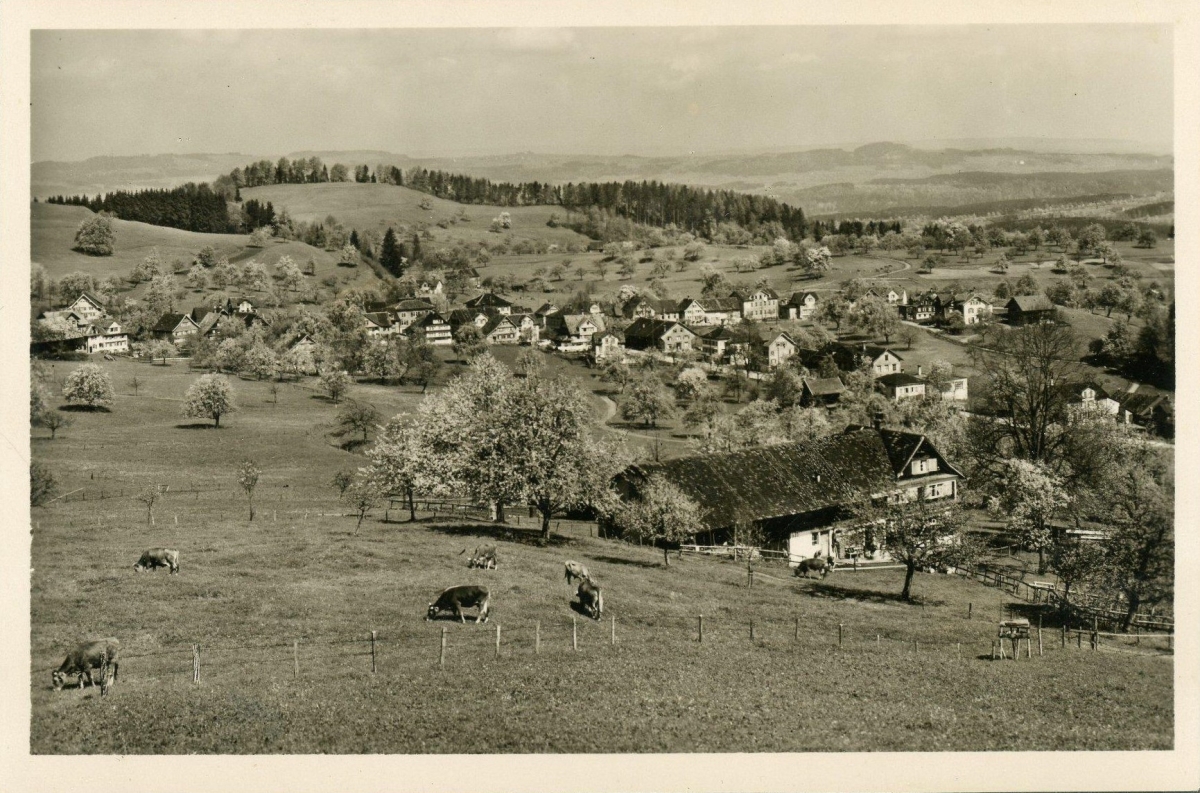 sticheschweiz