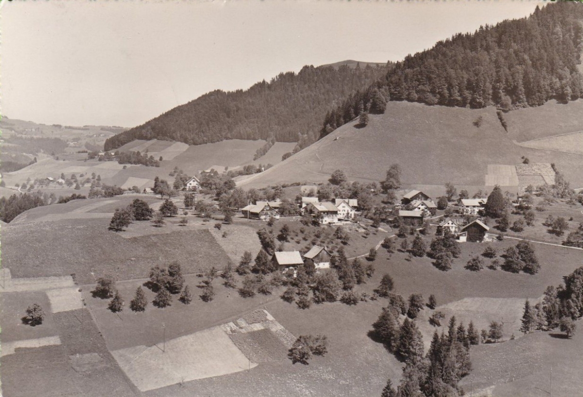 <p>Karte Top Zustand gelaufen</p>