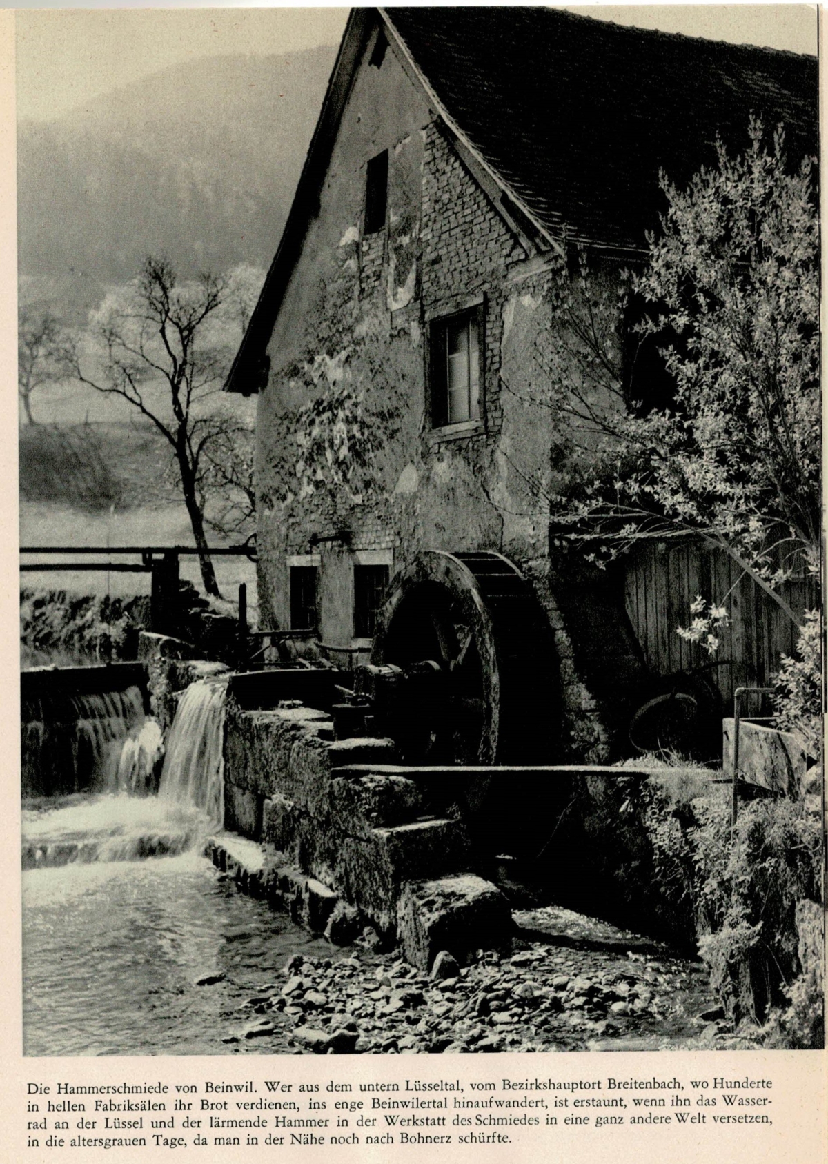 sticheschweiz