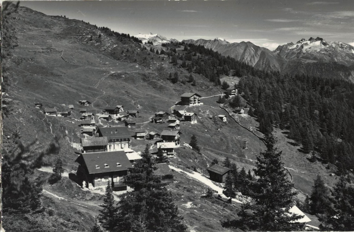 <p>Karte Top Zustand gelaufen</p>