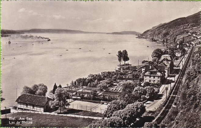 <p>Karte Top Zustand ungelaufen</p>