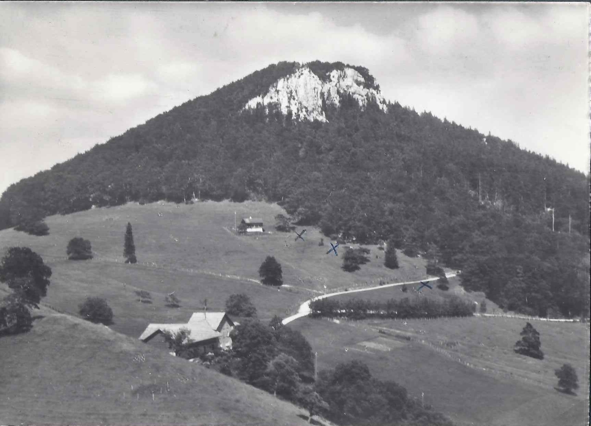 <p>&nbsp;Karte Top&nbsp; Zustand gelaufen</p>