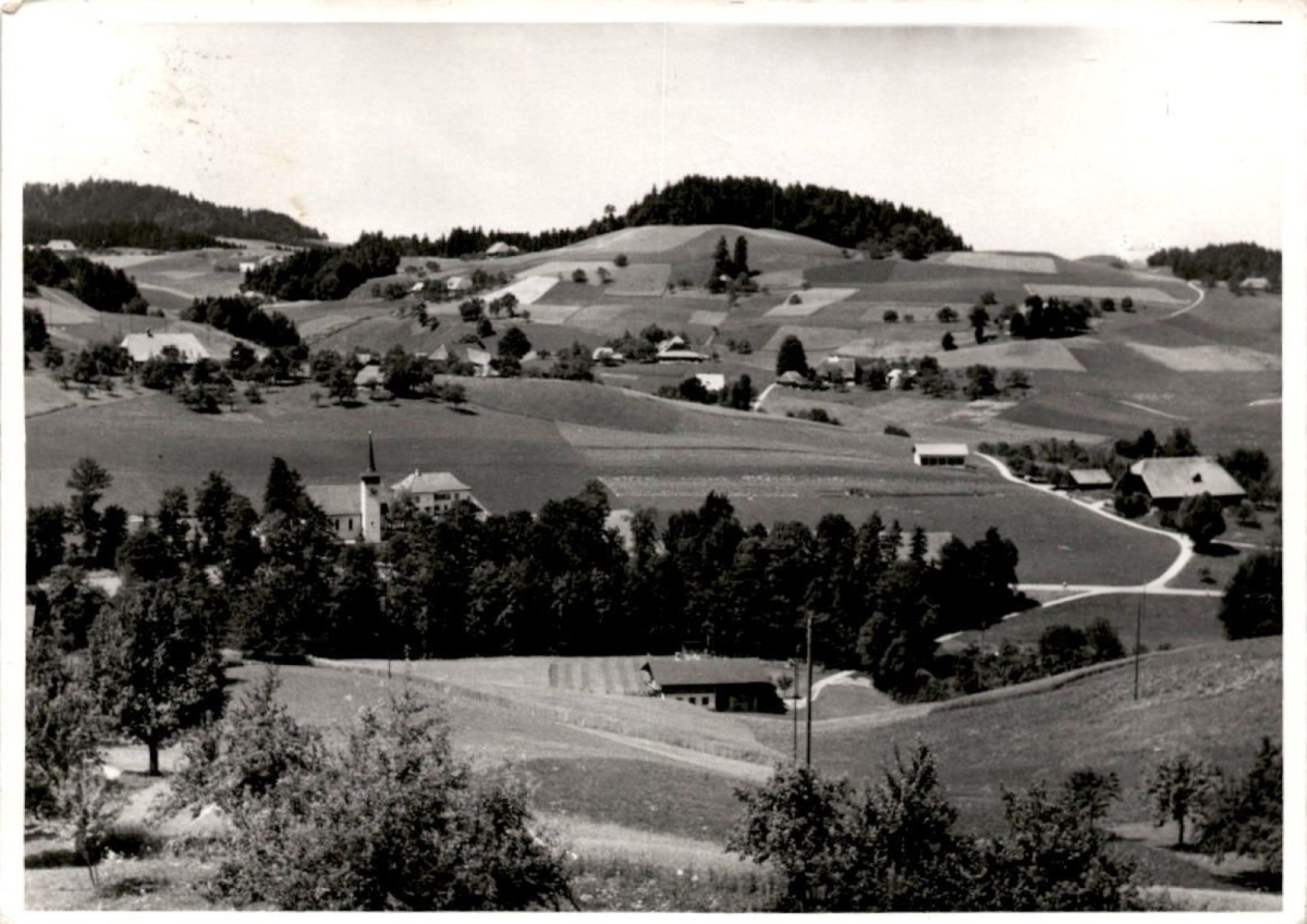 <p>Karte Top Zustand ungelaufen</p>