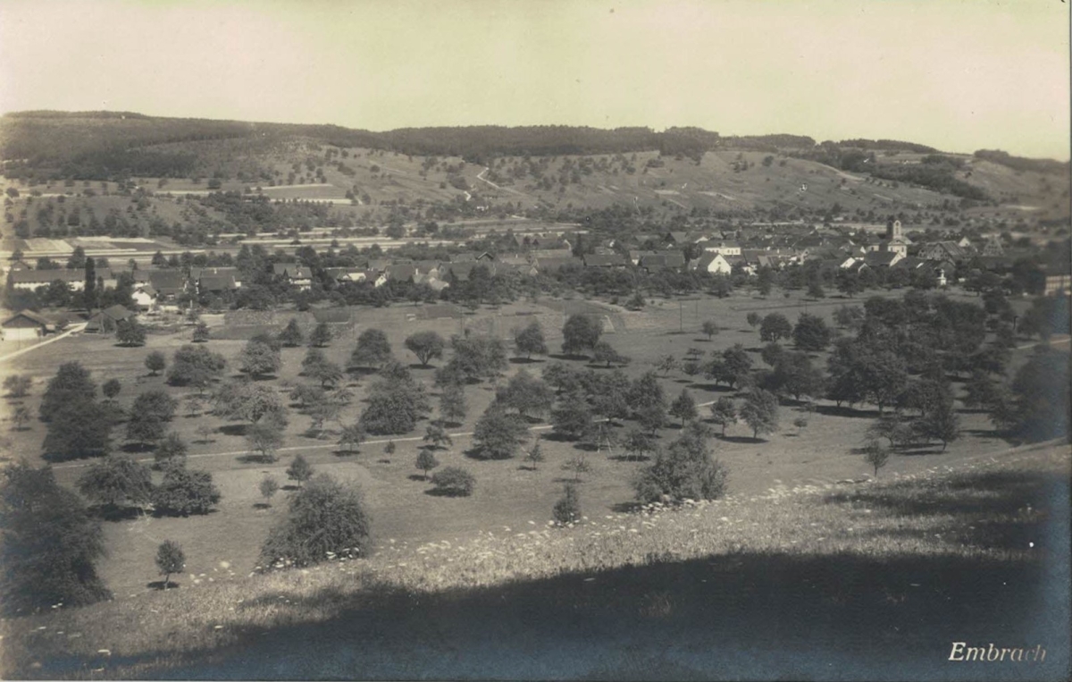<p>Karte Top Zustand ungelaufen , Rarit&auml;t</p>