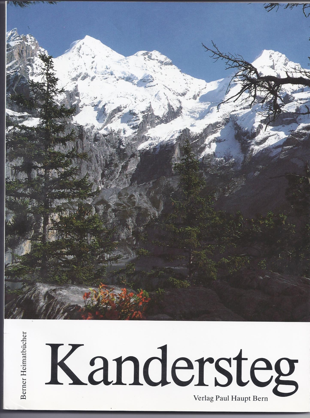 sticheschweiz